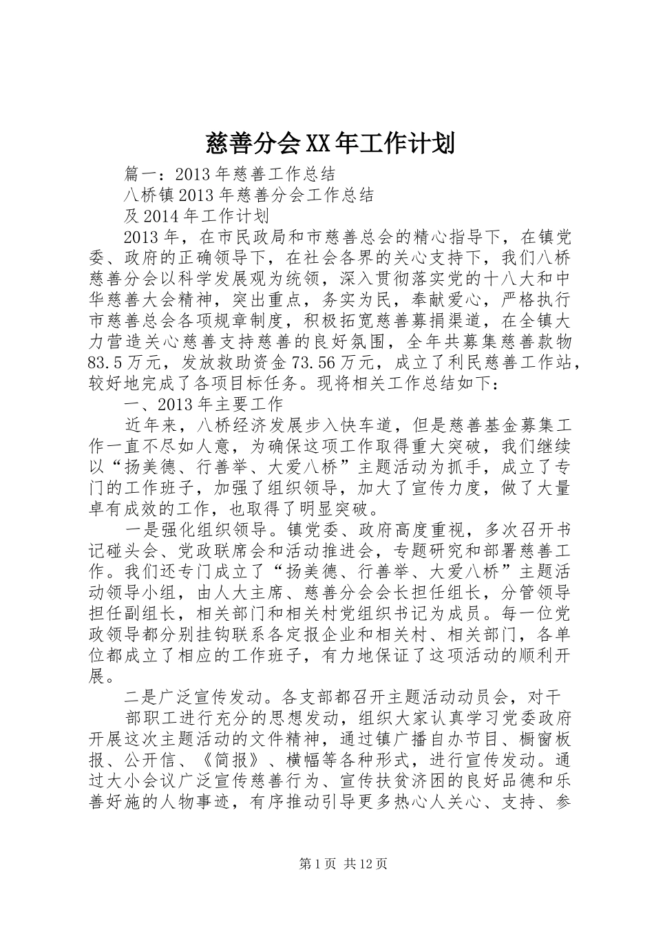 慈善分会XX年工作计划 _第1页