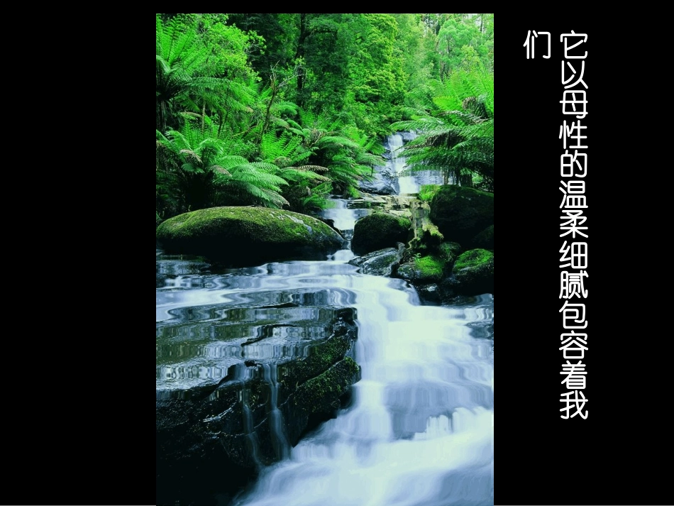 景物描写要抓住特征_第3页