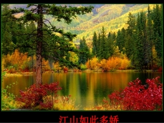 景物描写要抓住特征