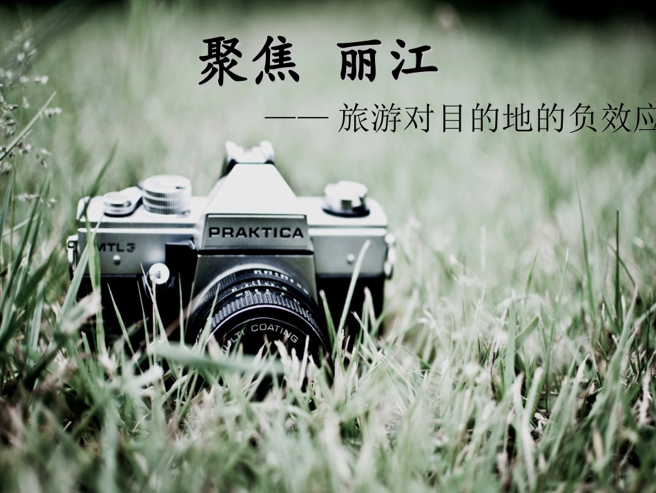 旅游社会效益分析_第3页