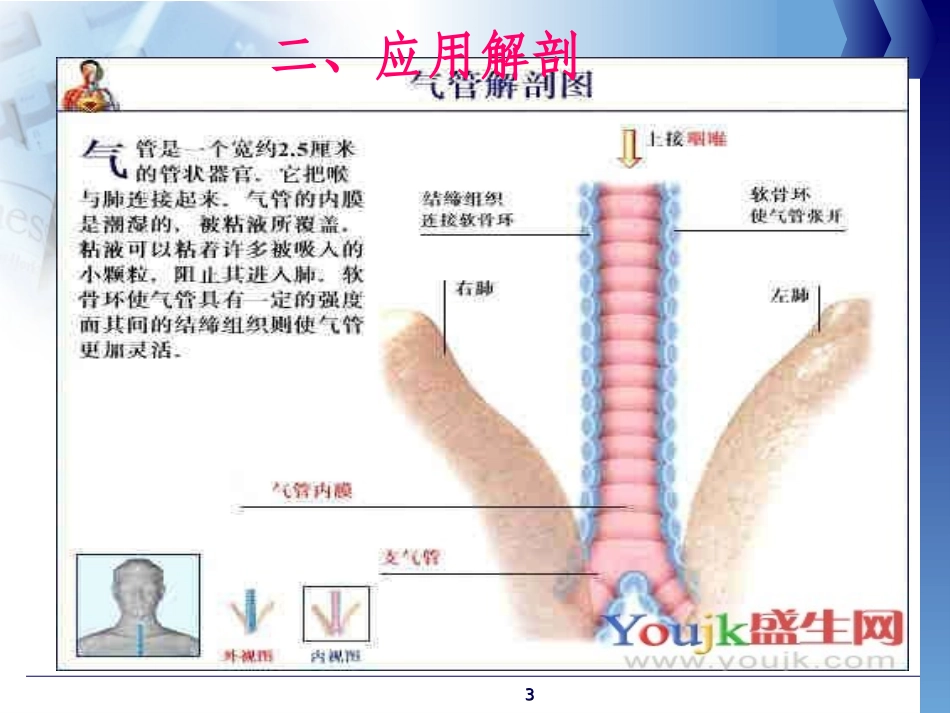 气管切开病人的观察与护理(护理部)_第3页