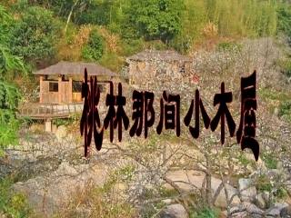 教科桃林那间小木屋 1》PPT课件