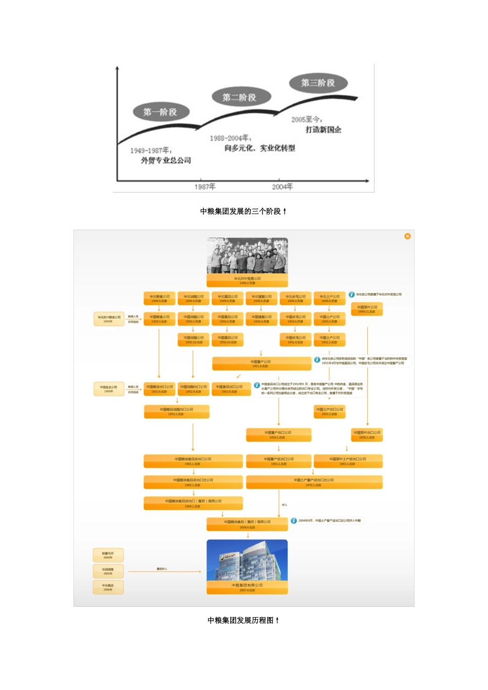 中粮集团(COFCO)品牌市场营销策划展示_第2页
