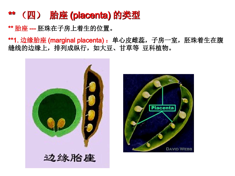 药用植物学课件——花 (2)_第2页