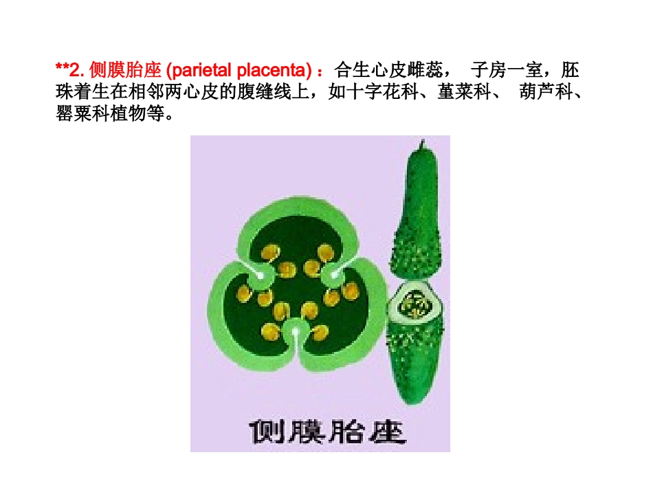 药用植物学课件——花 (2)_第3页