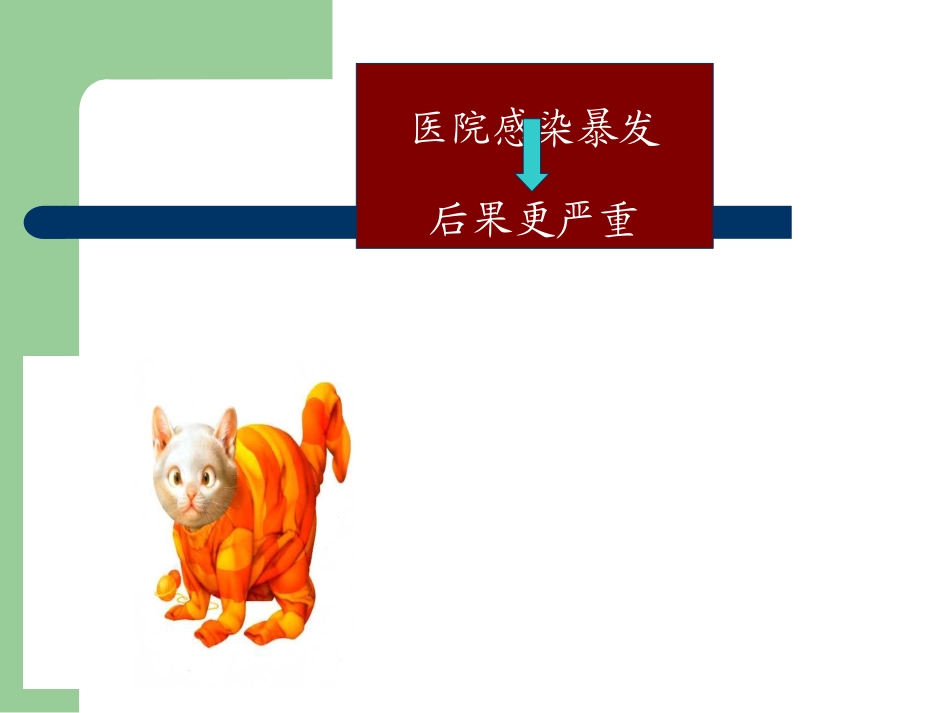 手卫生规范课件.ppt_第3页