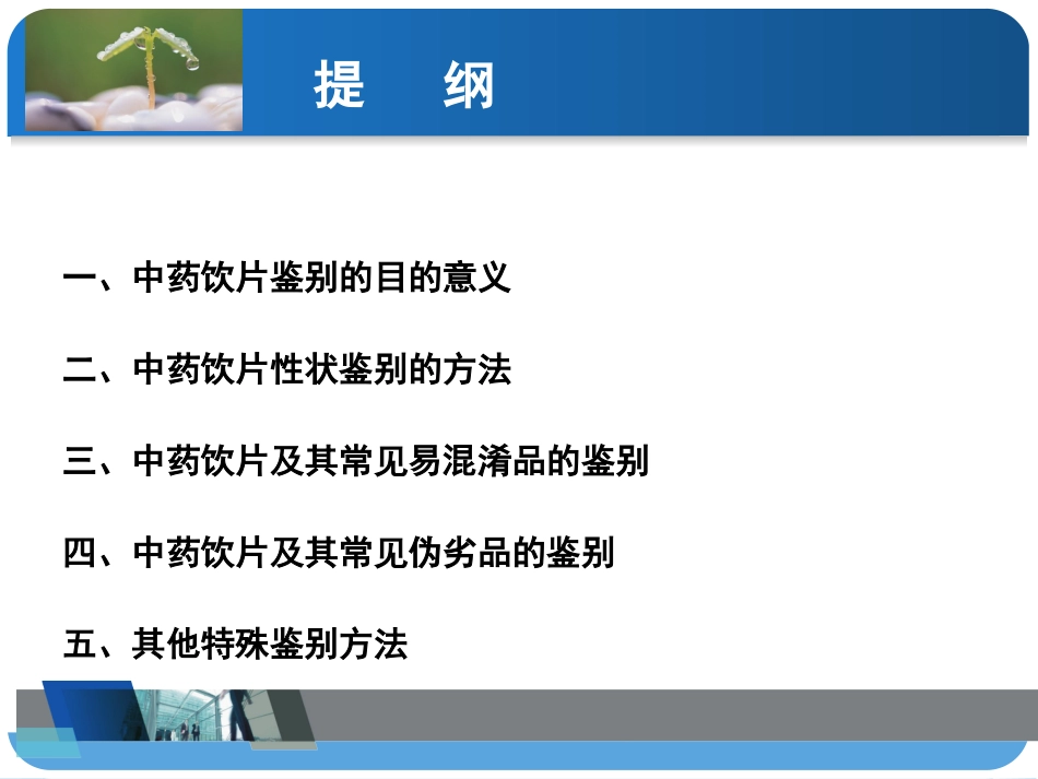 中药饮片的性状鉴别及图片(1)_第2页