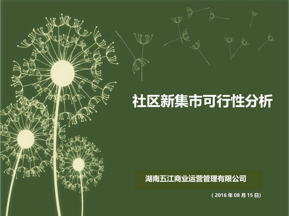 社区新集市可行性方案_第1页