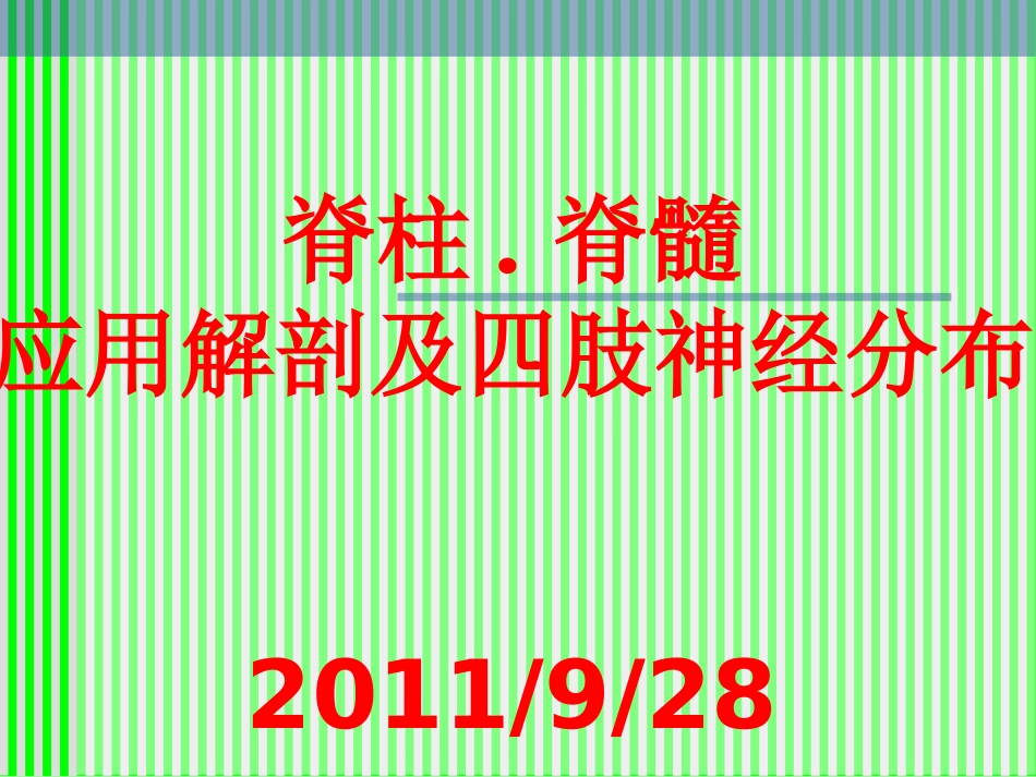 脊柱解剖与神经分布_第1页