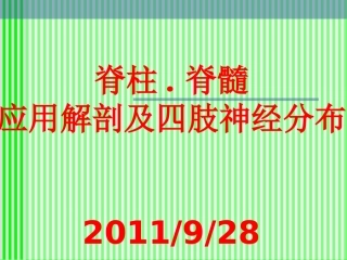 脊柱解剖与神经分布