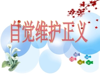 《自觉维护正义》课件2(1)