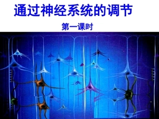 通过神经系统的调节(完整版)