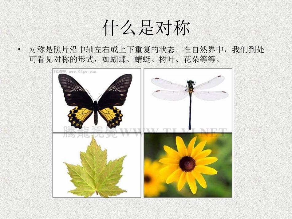 对称与平衡 平面构成_第2页
