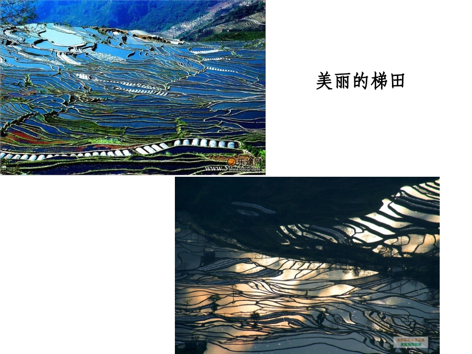 平面构成~线_第1页