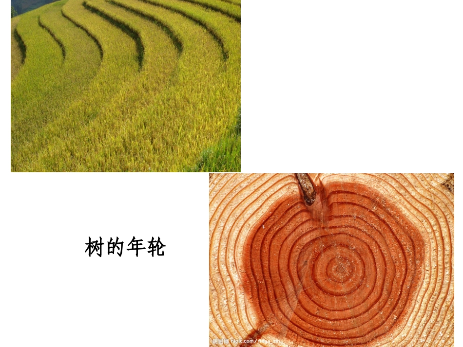 平面构成~线_第2页