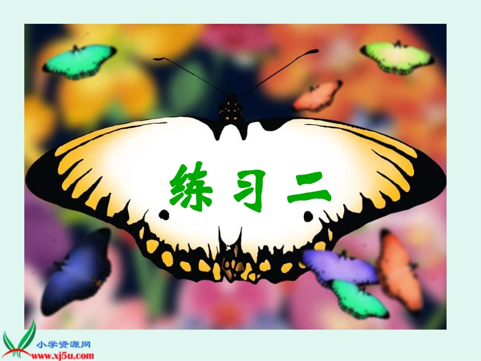 六下--练习2课件_第1页