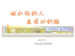 行动成功学(正)