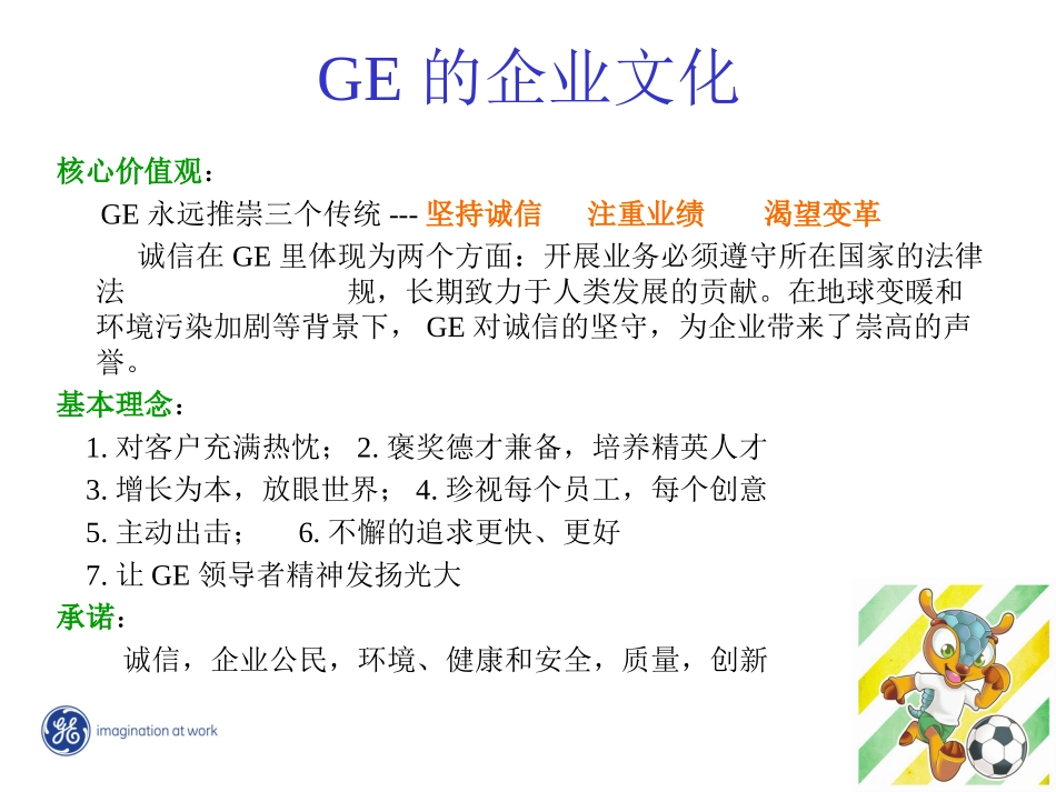 通用电气EHS体系_第3页