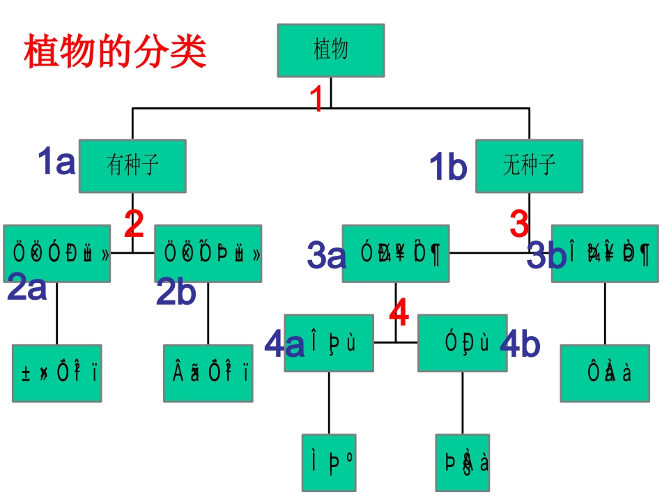 二歧式检索表_第2页