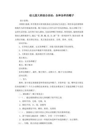 大班综合活动：各种各样的帽子