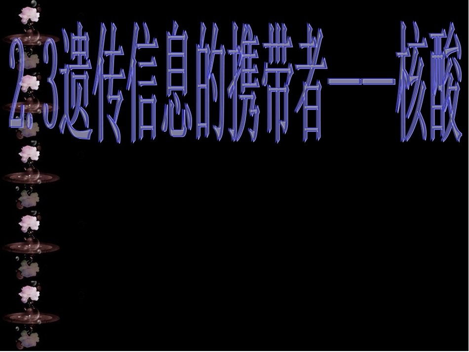 《核酸》[1]_第2页