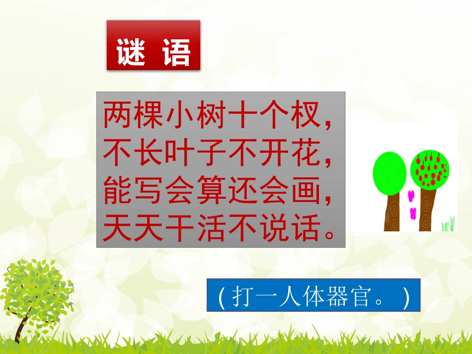 植树问题公开课_第3页