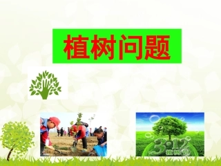 植树问题公开课