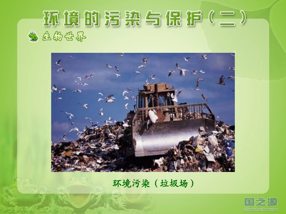 环境的污染与保护(二)_第2页