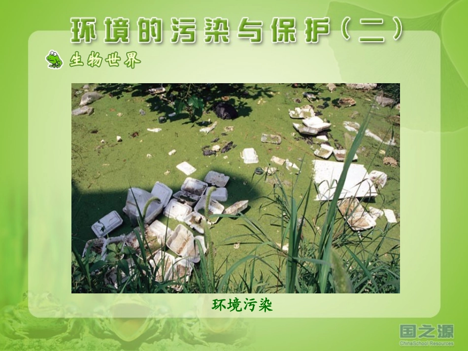 环境的污染与保护(二)_第3页