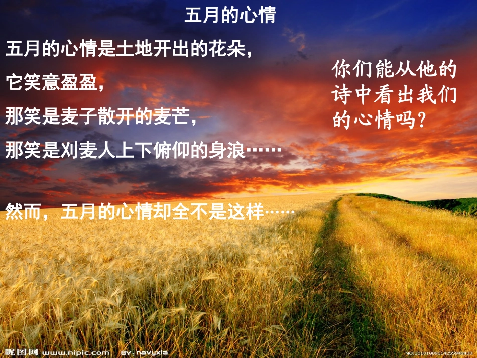 观刈麦课件[1]_第1页