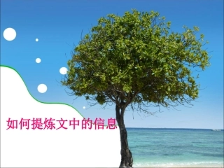如何提炼文中的信息