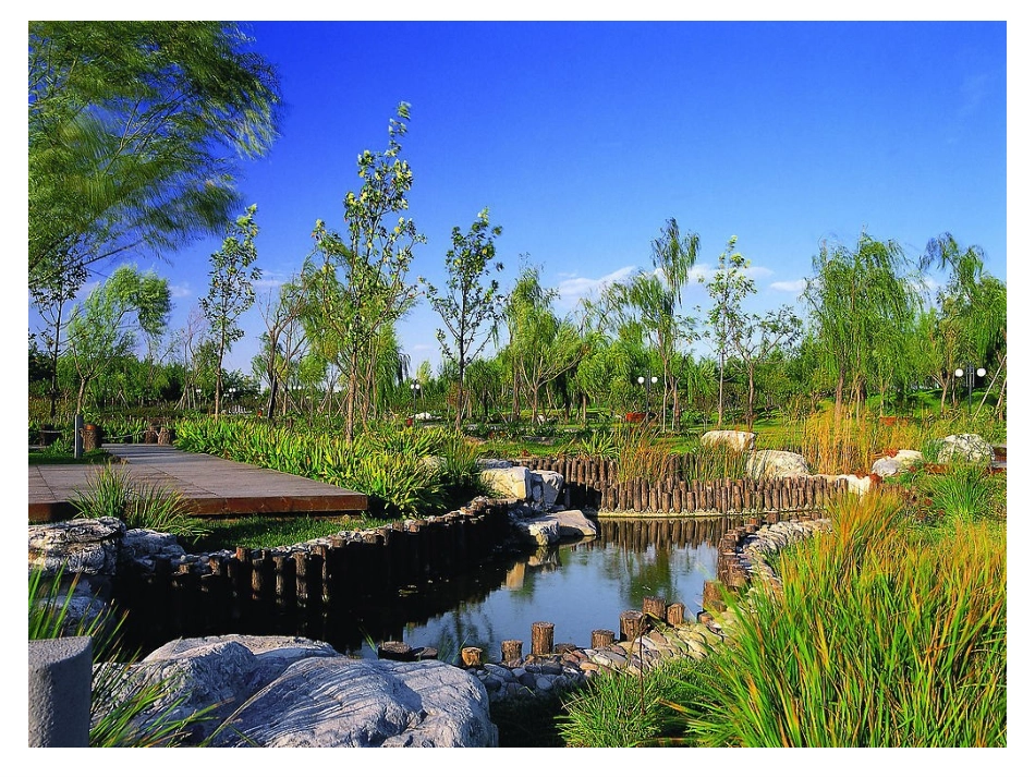 小池塘第一课时 (2)_第3页