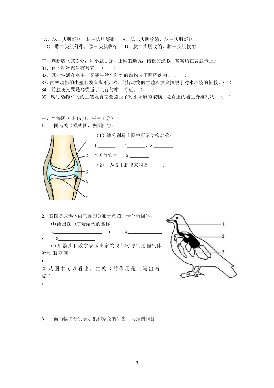 八年级月测卷_第3页
