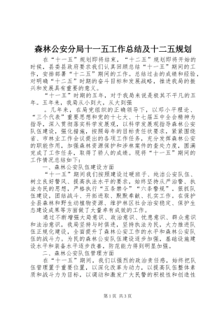 森林公安分局十一五工作总结及十二五规划 