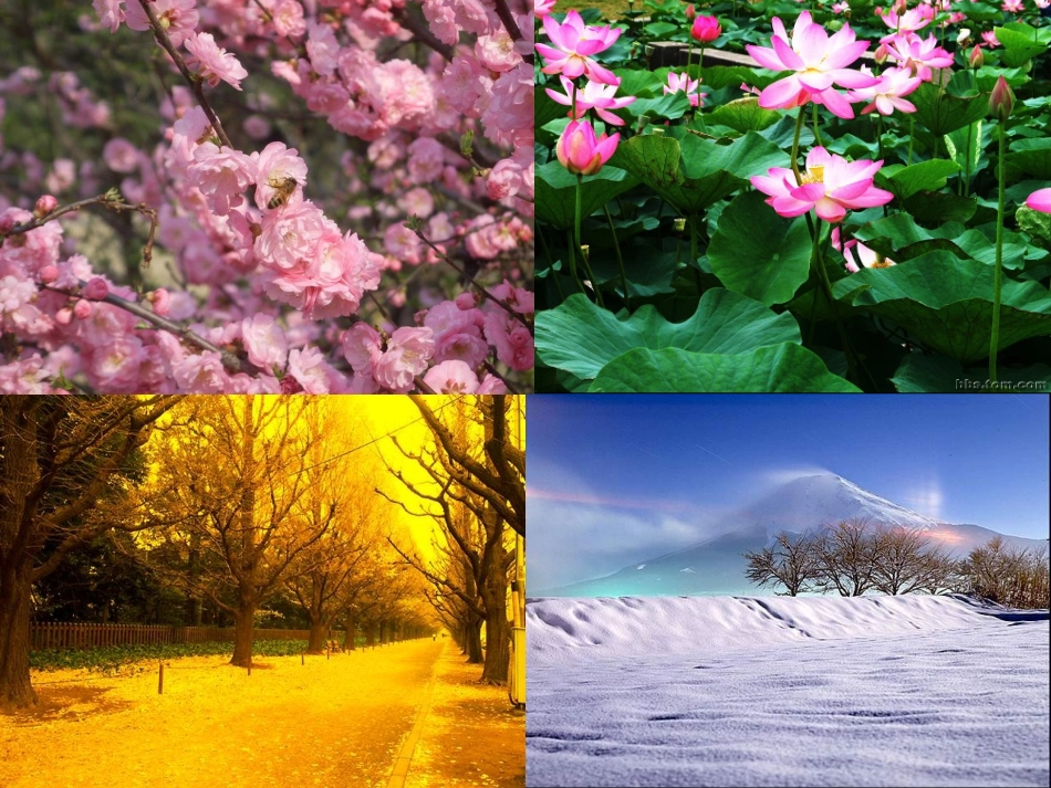 四季教学课件1_第2页