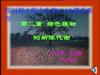 绿色植物的新陈代谢