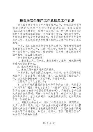 粮食局安全生产工作总结及工作计划_1 