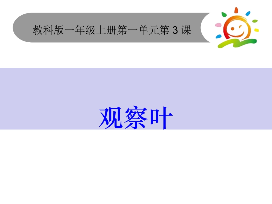 教科版科学一年级上1.3观察叶_第1页