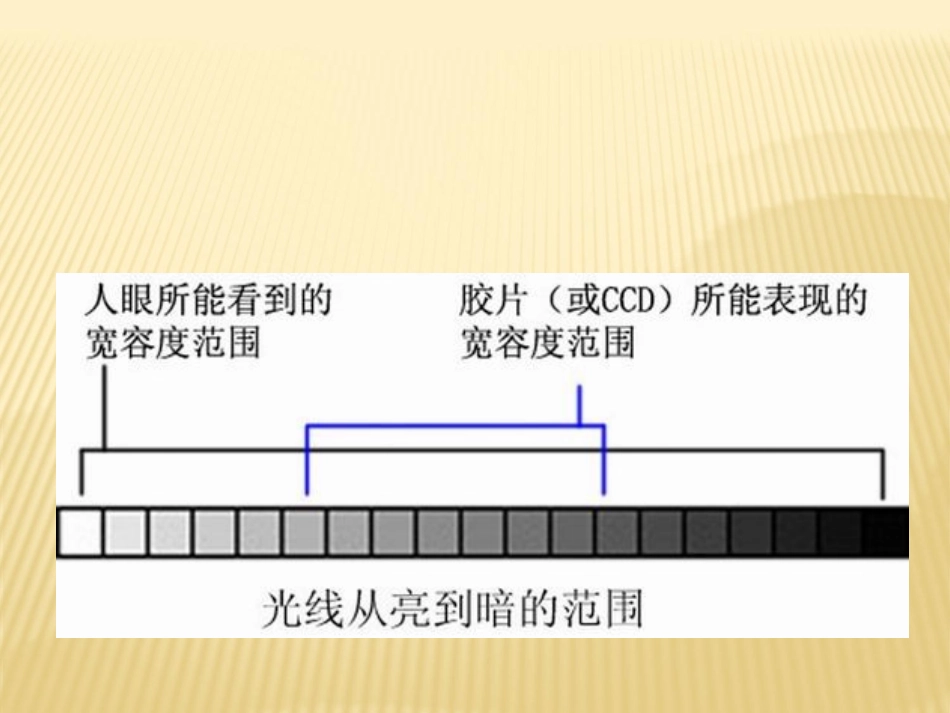 摄影技术教程之-曝光与测光_第2页