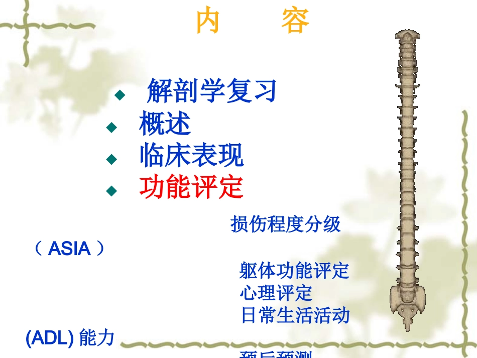 脊髓损伤的康复评定_第2页