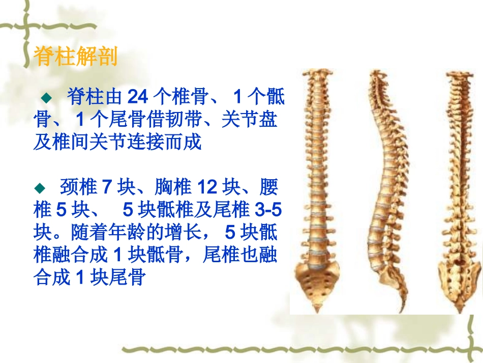 脊髓损伤的康复评定_第3页