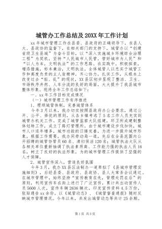 城管办工作总结及20XX年工作计划