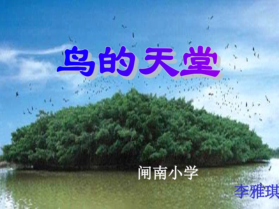 鸟的天堂PPT课件_第1页