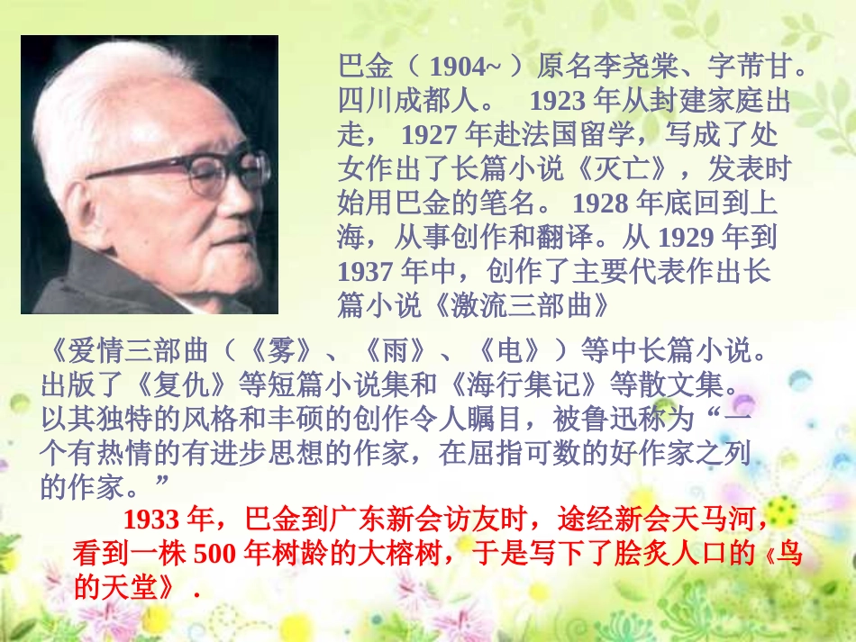 鸟的天堂PPT课件_第3页