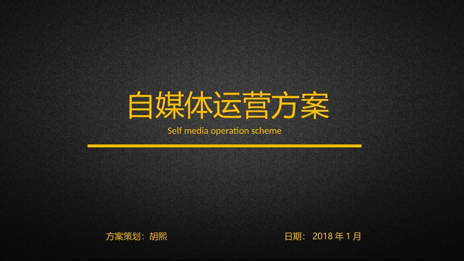 自媒体运营方案_第1页