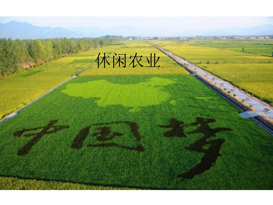 现代农场规划与管理之休闲农业_第1页