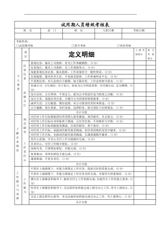 某公司试用期人员绩效考核表--ha_ha