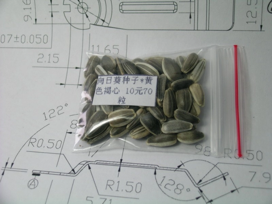 植物有哪些相同特点_第2页