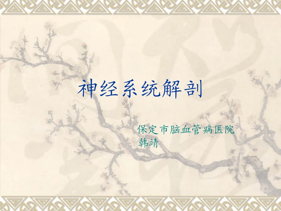 神经系统概论_第1页