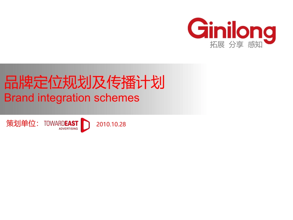 为一个品牌策划做的定位方案_第1页